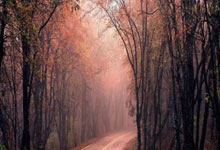 [棋牌]高清-农心杯第14局决胜局 丁浩对决申真谞.