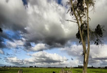 千万别有事！爱德华兹和杜兰特争抢中被肘到面部 艰难起身被搀扶回更衣室！.