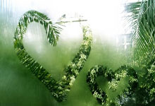 开云官网：确定下跌！德转预热奥斯梅恩身价变化，最低降至5500万欧元.