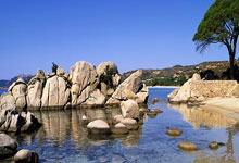 开云官网：国足伤停危机加剧 国足力争避免“惨案”重演.